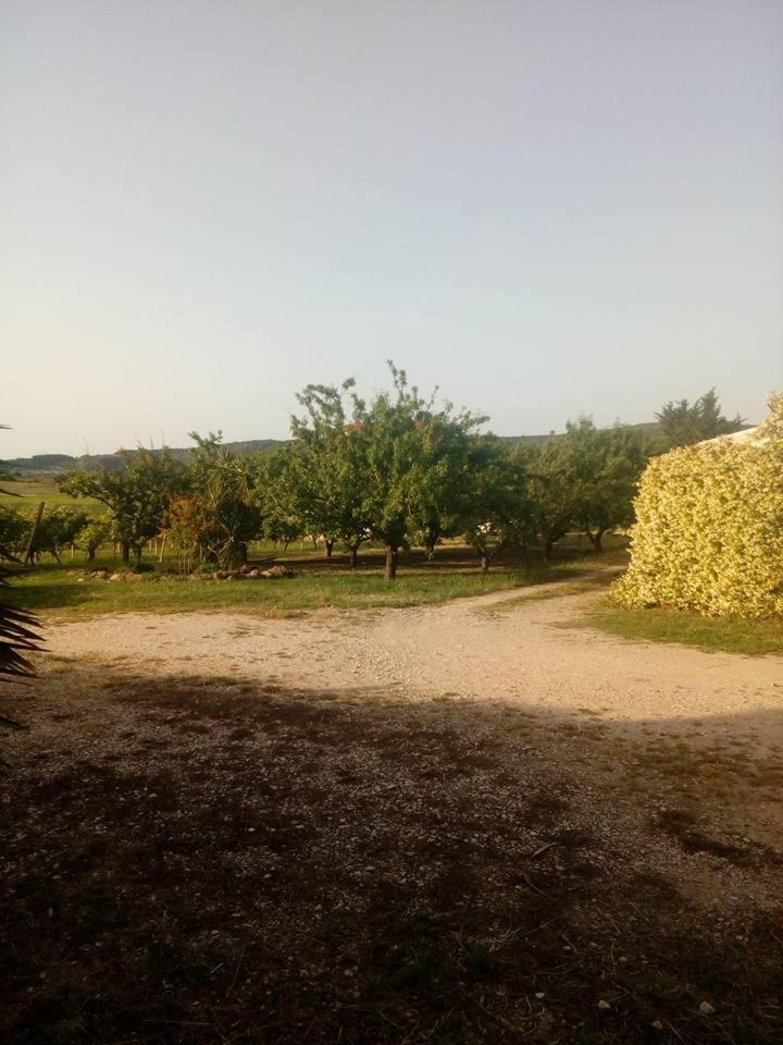 Residenza Agrituristica Santa Lucia Con Piscina Apartamento Alghero Exterior foto