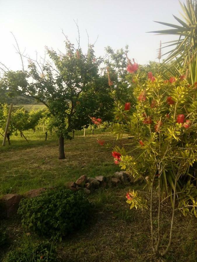 Residenza Agrituristica Santa Lucia Con Piscina Apartamento Alghero Exterior foto